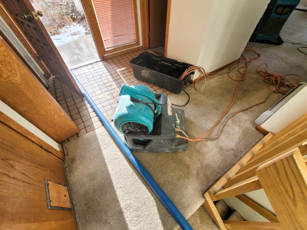 Best Water damage restoration insurance claims  in Colfax, CA