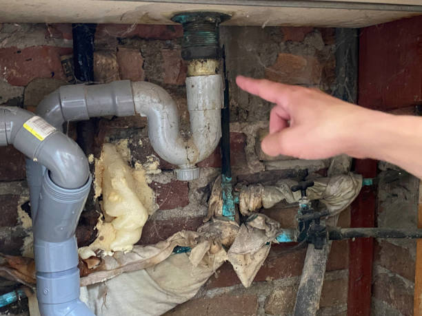 Best Water damage cleanup near me  in Colfax, CA